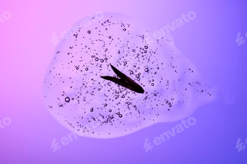 Preview: A drop of shampoo with bubbles. A texture with a leaf in it.