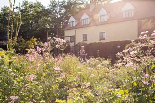 Preview: Mature woman gardening