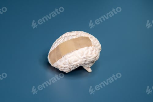 Preview: Human brain model with a white bandage.