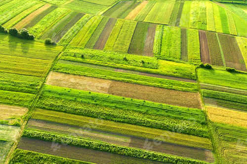Preview: Aerial view of green agricultural fields