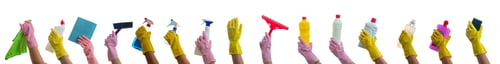 Preview: Cleaning supplies on gloved hands isolated against white background.