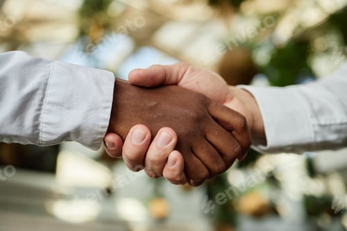 Preview: Close up of Diverse People Shaking Hands in Restaurant Setting