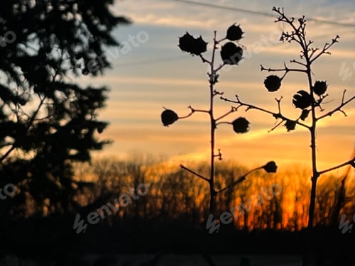 Preview: Sunset in the distance