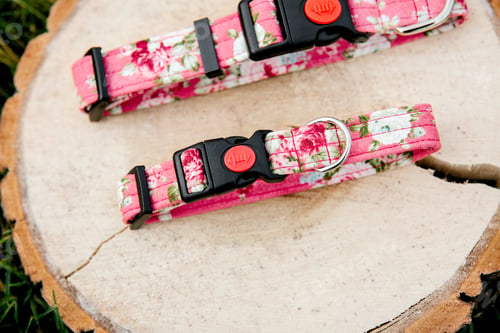 Preview: Dog Collar and Leash set. Pet Supplies and Walking Gear Collection