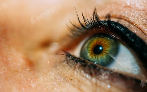 Preview: Closeup shot of a person's green eye