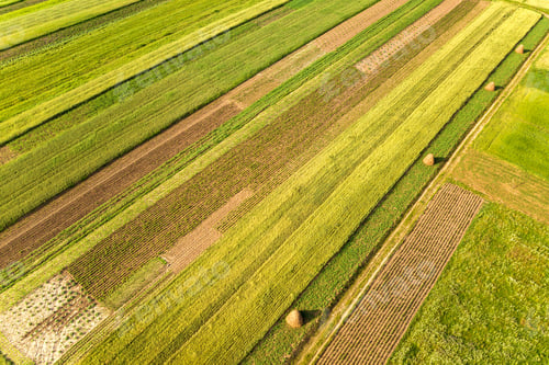Preview: Aerial view of green agricultural fields in spring with fresh vegetation after seeding season