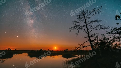 Preview: 4K Miory District, Vitebsk Region, Belarus. Yelnya Swamp Nature Reserve Landscape. Night Starry Sky