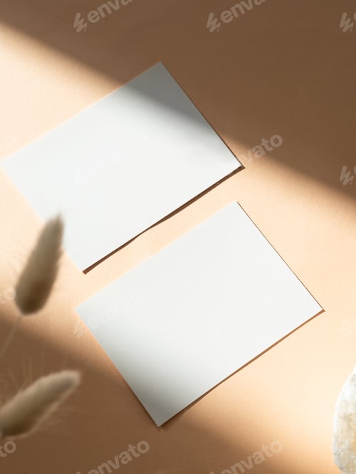 Preview: Two blank white cards, dry flowers on beige background