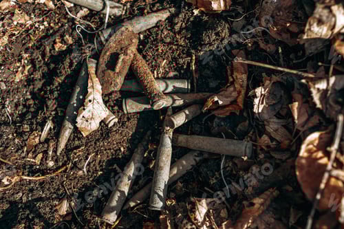 Preview: Used rifle shells on the ground in forest