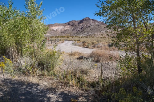 Preview: Beatty Mountain is the western Nevada Mojave Desert is framed by foliage along the Amargosa River
