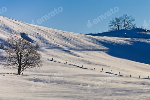 Preview: rural landscape