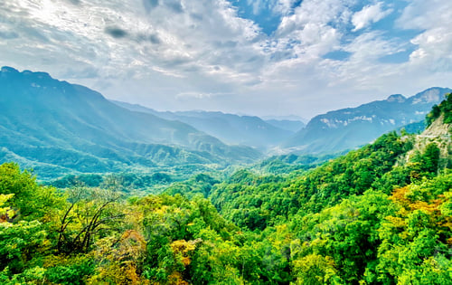 Lush Mountain Range Landscape With Green Forest