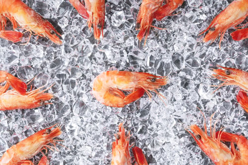 Preview: Extra large tiger prawns