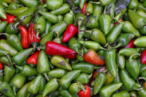 Preview: Green hot jalapeno chili peppers close up