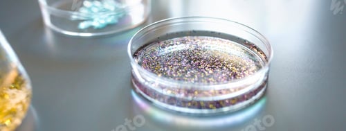 Preview: Petri dish with colorful glitter mixed sample in analysis fluid in environment research laboratory