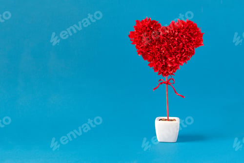 Preview: Red Heart Potted Plant on Blue Background