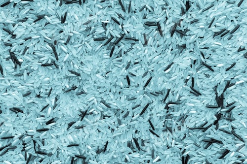 Preview: Dried Grains Or Seed White And Black Of Wild Rice For A Background And Texture Closeup Of Speckled