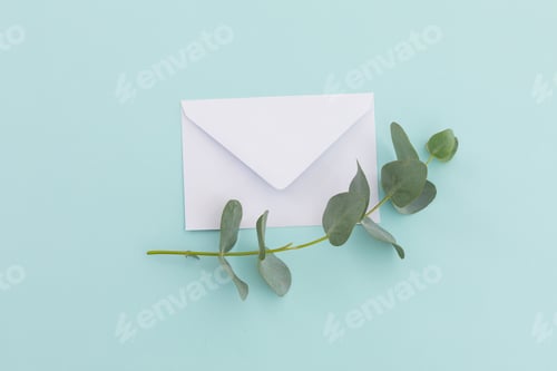 Preview: White envelope with twig and leaves lying on pale blue background