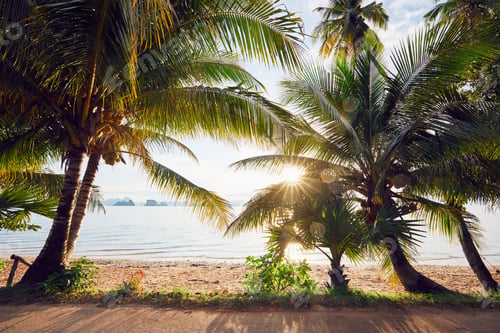 Preview: Amazing sunrise on the beach