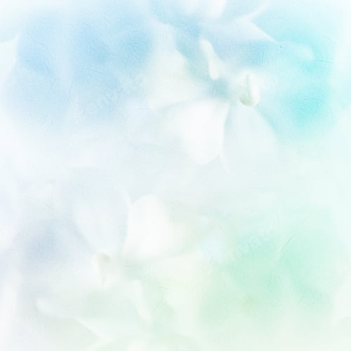 Preview: Vivid Color Roses Flower In Soft And Blur Style On Mulberry Paper Texture