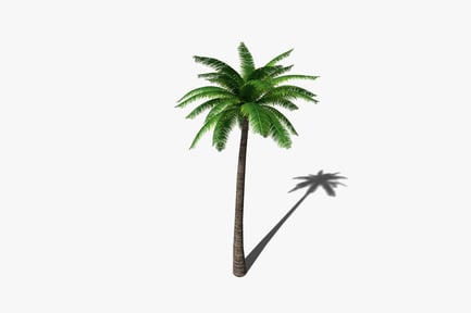 Preview: Palm tree with frond-like trunk and leaves