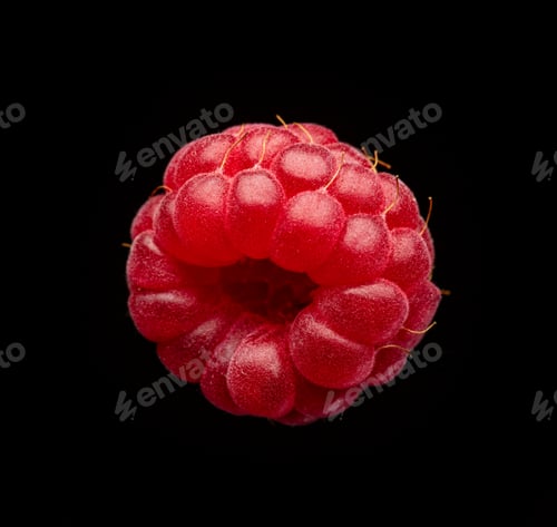 Preview: fresh raspberry macro