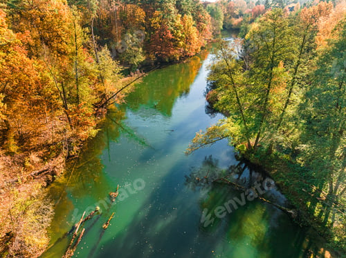 Preview: River Brda and forest at sunrise in autumn, Poland.