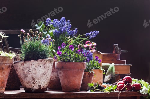 Preview: Spring Flowers