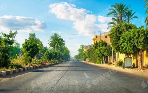 Preview: Road among palm
