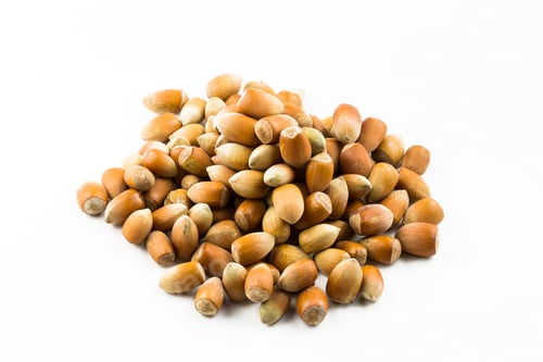Preview: Hazelnuts. Stack of hazelnuts. Food background. Hazelnut background