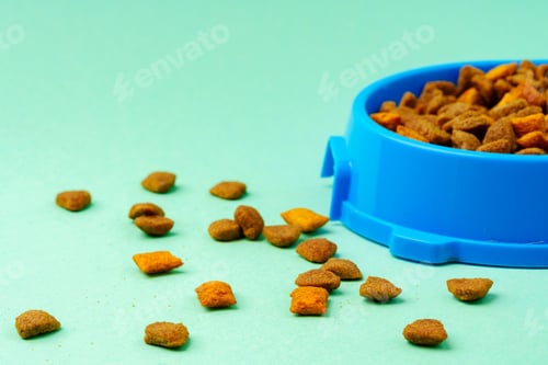 Preview: Dry pet food in bowl on color background