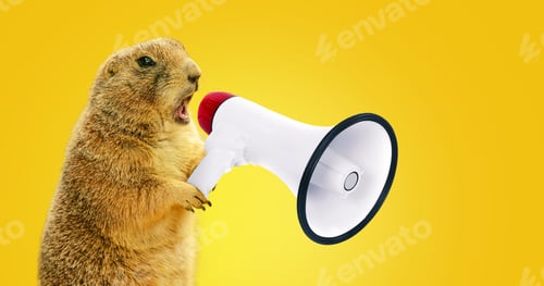 Preview: Funny gopher is holding a loudspeaker and screaming. Creative idea, management