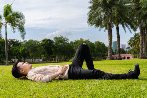 Preview: Handsome young man laying down on grass during summer at park