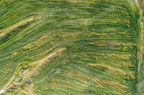 Preview: Done aerial image of agriculture field farmland. Harvesting outdoor, Cyprus