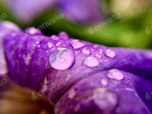 Preview: Water drops