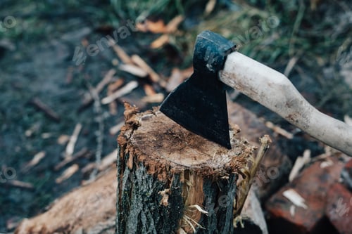 Preview: ax sticks out in the tree stump chopping firewood harvesting for the winter in the fresh air