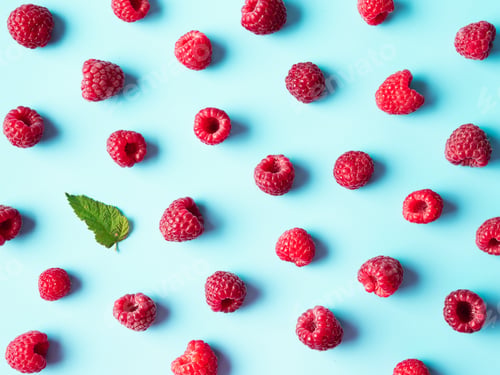 Preview: Raspberry pattern, blue background, top view