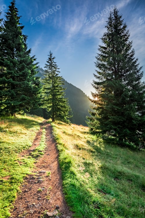 Preview: Wonderful dawn in Valley Chocholowska, Tatra Mountains in summer
