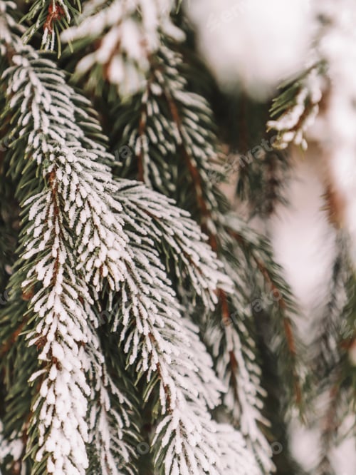 Preview: Winter