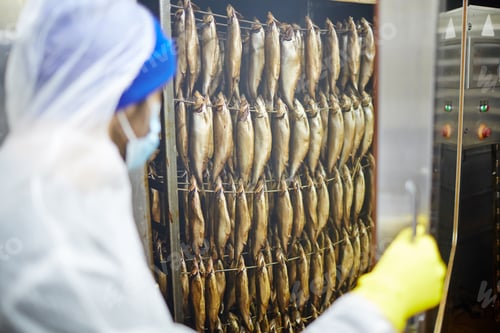 Preview: Freshly smoked fish