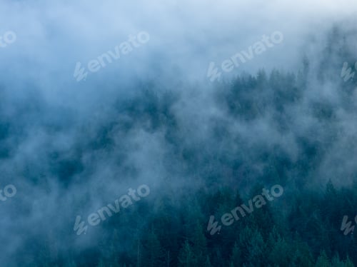 Preview: Mist Shrouded Evergreen Forest With Fog Overlook, Moody Blue Landscape in Howe Sound, BC Canada