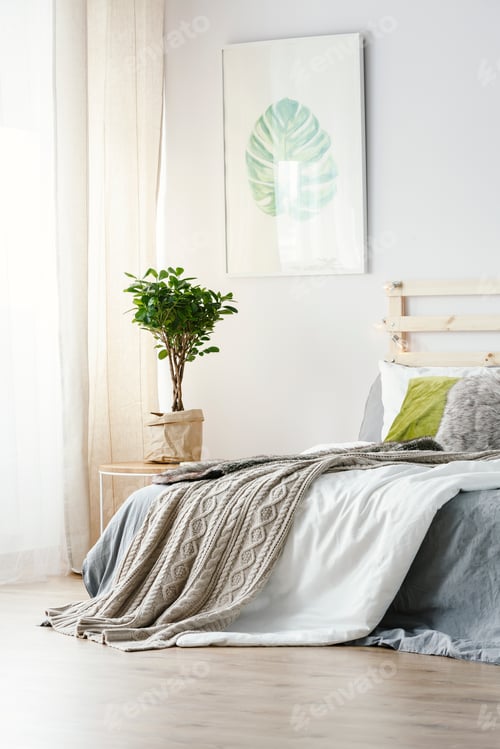 Preview: Poster above plant next to bed with grey blanket in minimal bedr