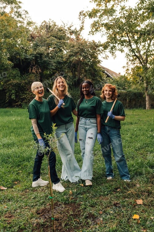 Preview: Happy volunteers planting a tree in a park