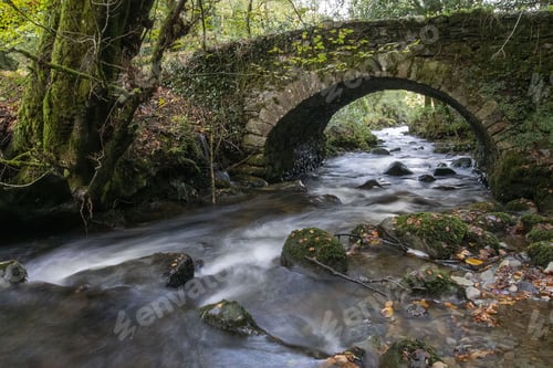 Preview: Stone arch bridge on a river surrounded by stones and greenery in a forest