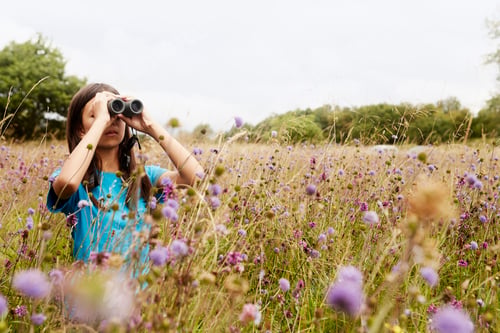 Preview: A girl holding binoculars, a young bird watcher standing in a meadow of tall grass and wild flowers.