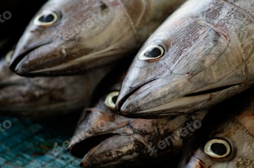 Preview: Lot of dead fish in a fish market in Turkey