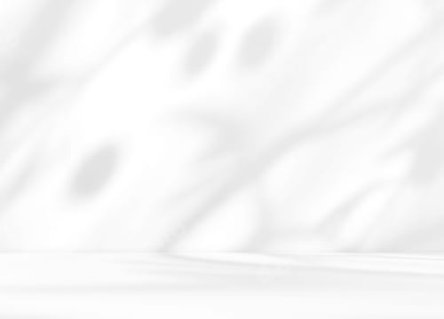 Preview: Empty white room studio with olive tree shadow overlay effect for product presentation display.