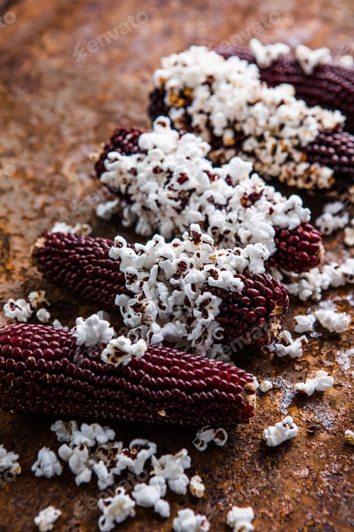 Preview: Popcorn cobs flat lay. Colored corn cobs. Organic farm bio vegetables. Autumn harvest