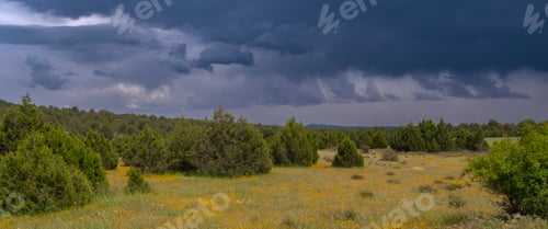 Preview: Agricultural Field Agricultural Field and Mediterranean Forest, , Spain
