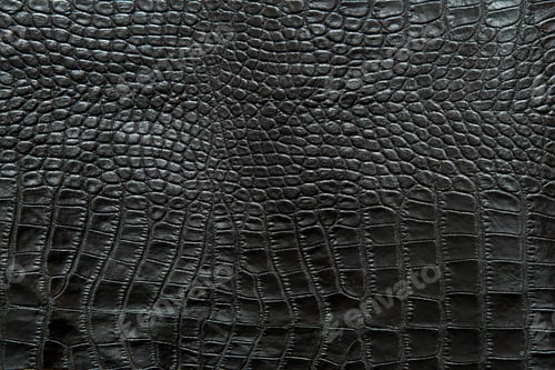 Preview: Black croccodile Leather background and texture